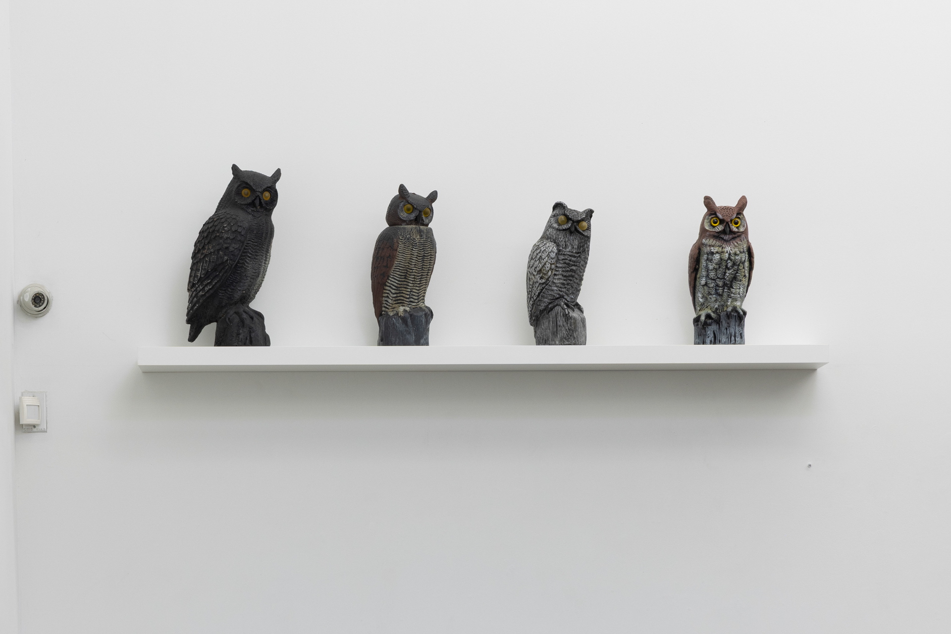 NearGreenValley.DanielRibarErikHendersonGalerieCamille